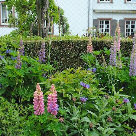 La Vieille Eglise Bed & Breakfast Le Hohwald Bagian luar foto