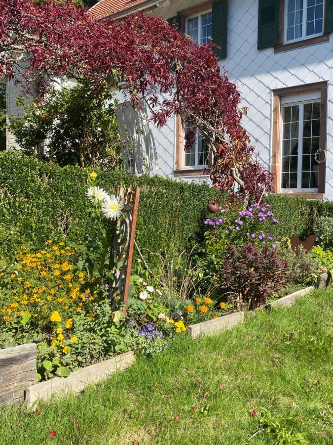 La Vieille Eglise Bed & Breakfast Le Hohwald Bagian luar foto