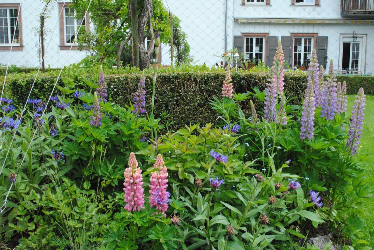 La Vieille Eglise Bed & Breakfast Le Hohwald Bagian luar foto